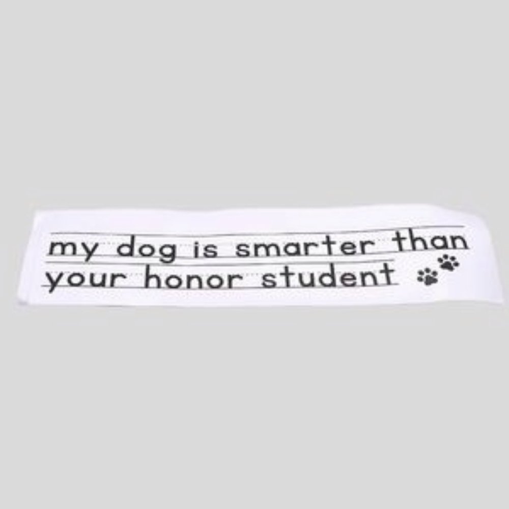 NWT Dog Mom Sticker